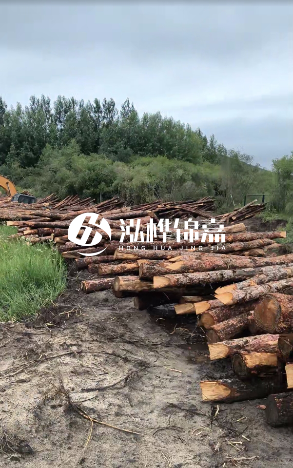 甘肅河道清淤工程公司-為什么要進行河道清淤？