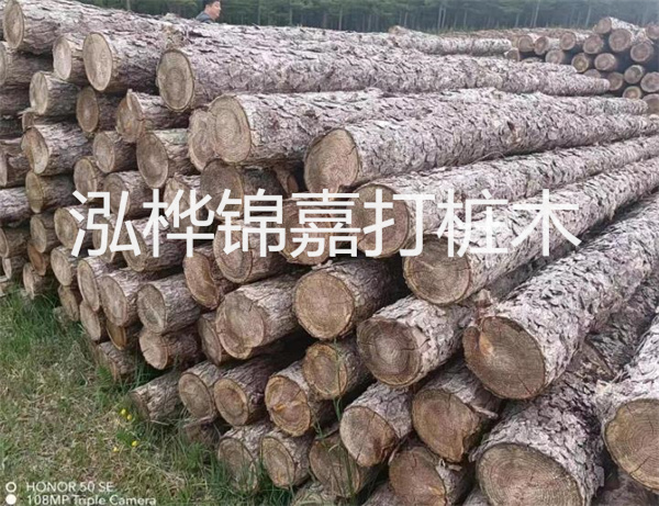 高效修補(bǔ)，保駕護(hù)航！水泥路面高強(qiáng)度修補(bǔ)料為您解決煩惱！