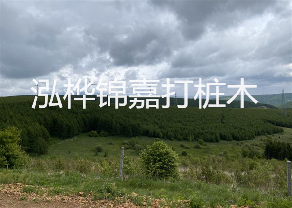 松木樁能重復(fù)施工么？