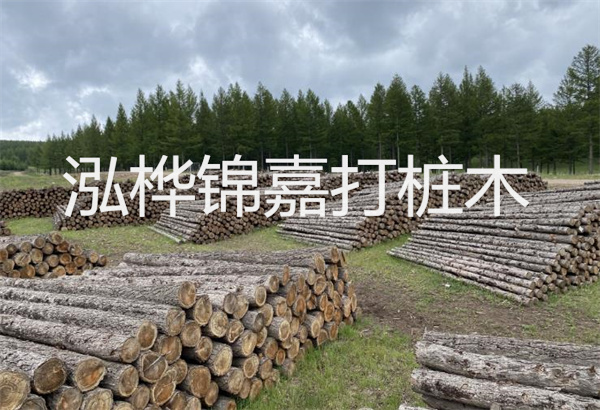 預(yù)制松木樁施工工藝：優(yōu)質(zhì)材料，高效快速，堅固耐用