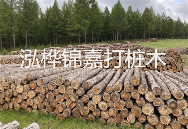 松木樁能施工嗎？探究視頻揭秘真相！