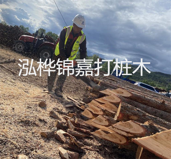 提高施工效率，優(yōu)化松木樁施工綜合單價