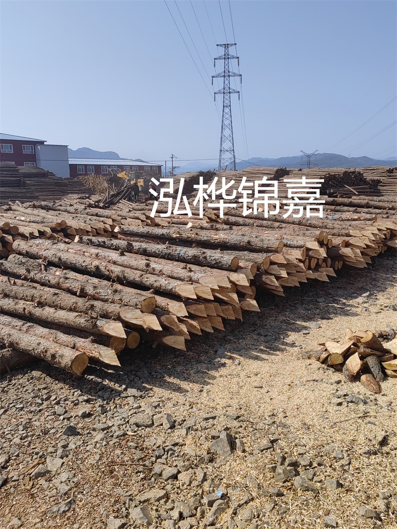 深入了解松木樁基礎(chǔ)施工單價，助力工程建設(shè)順利進(jìn)行！