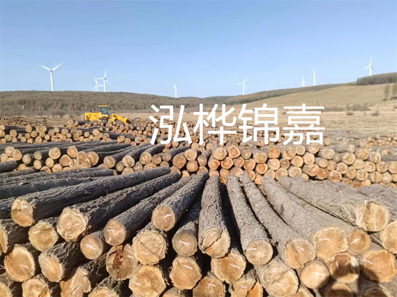 溫州松木樁施工廠家——為您打造堅固穩(wěn)定的建筑基礎(chǔ)！