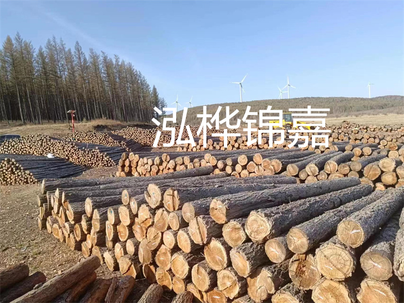 用路基松木樁施工方案提升工程質(zhì)量描述：了解路基松木樁施工方案的重要性，提高工程質(zhì)量關(guān)鍵詞：路基松木樁，施工方案，工程質(zhì)量